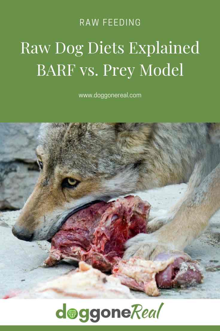 Raw Dog Diets Explained - BARF vs Prey Raw Diet