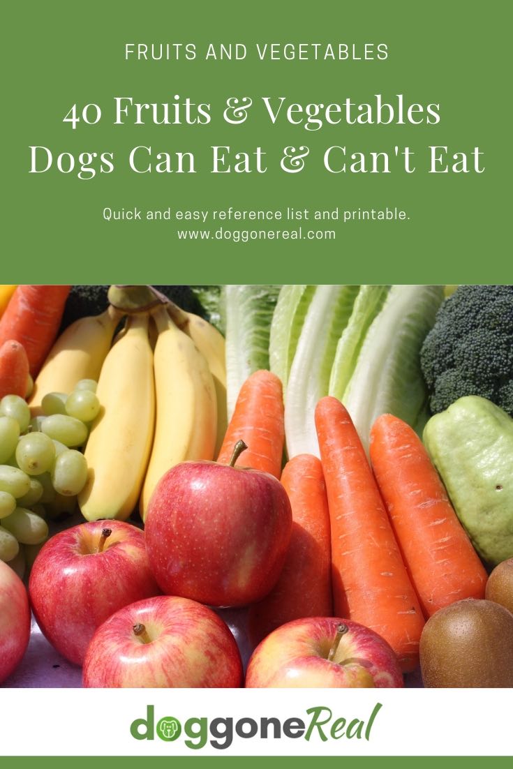 Fruits and vegetables dogs can eat
