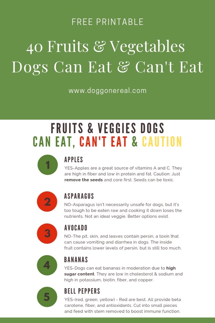 Fruits and vegetables dogs can eat and can't eat