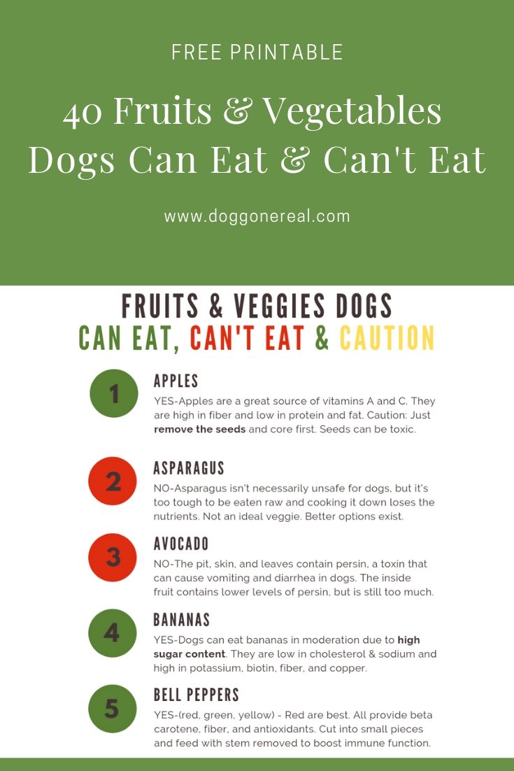 vegetables dogs can eat chart