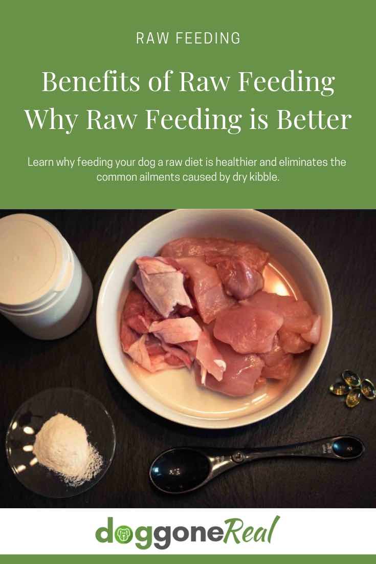 Benefits of Raw Dog Food - Why Raw Feeding is Better