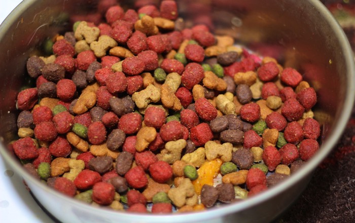 dry dog food kibble