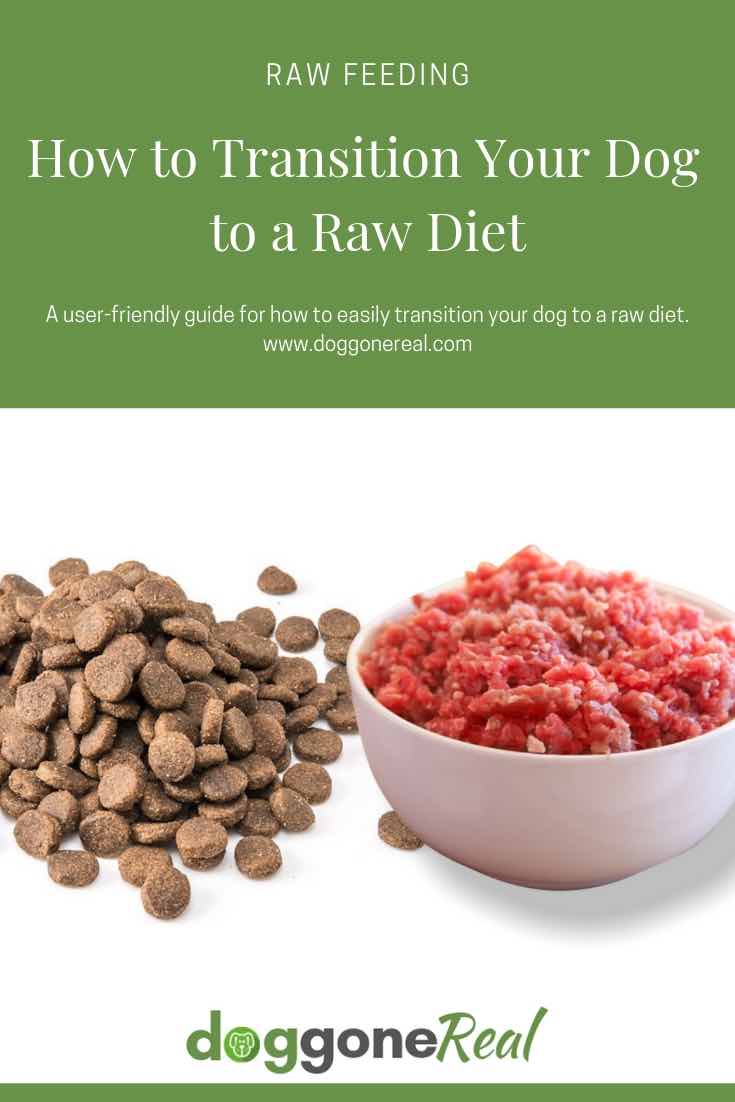 Guide for How to Transition Your Dog to a Raw Diet