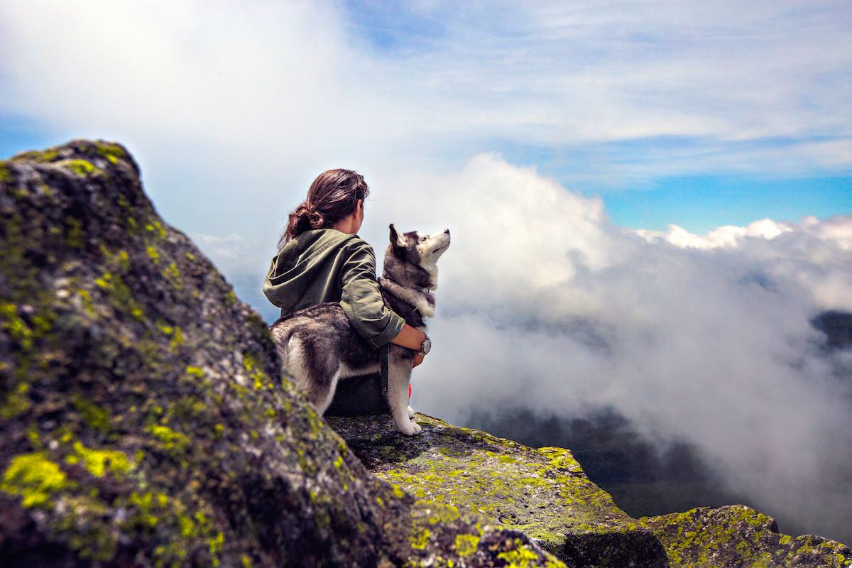 husky dog with girl on top of mountain with clouds