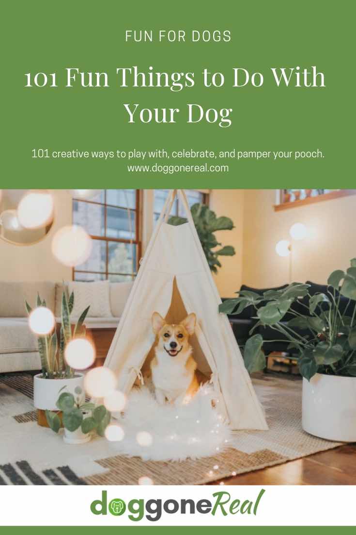 101 Fun Things to Do With Your Dog