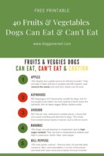 40 Fruits and Vegetables Dogs Can & Can’t Eat - Dog Gone Real