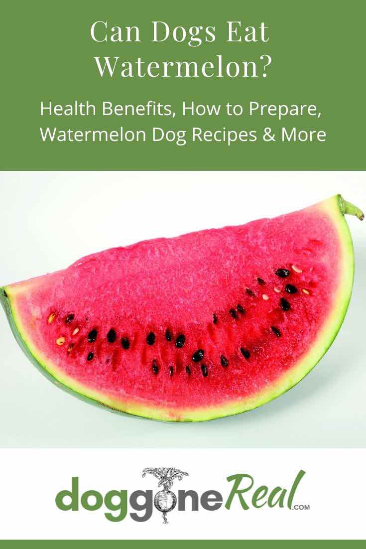 Can Dogs Eat Watermelon Pinterest Image