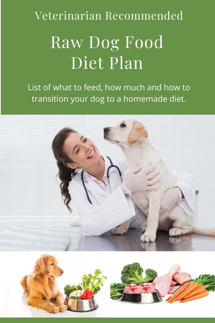 Veterinarian Recommended Raw Dog Food Diet Plan