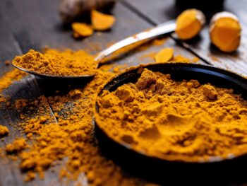 Benefits of Turmeric for Dogs